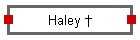 Haley 
